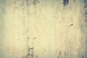 高齢者が友人に会う前に気を付けるべき口臭対策は？