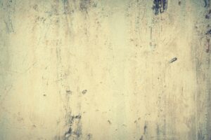 高齢者の口臭を予防するための咀嚼回数はどれくらいが理想？